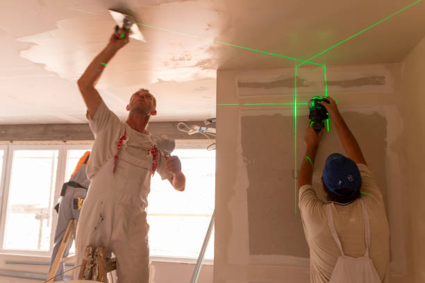 Best Mold Damage Restoration  in USA